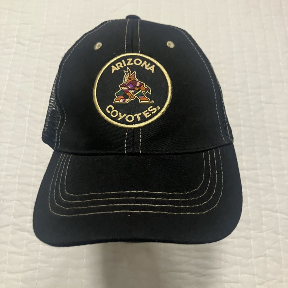 BDG Black Arizona Coyotes Hat